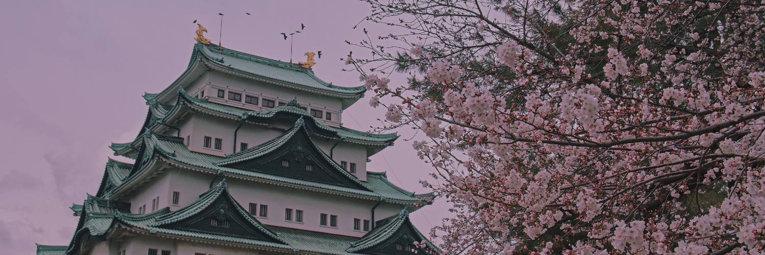 Image of Nagoya castle and cherry blossoms.